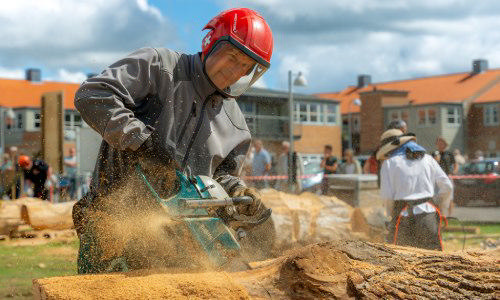 Træsymposium i Ringkøbing